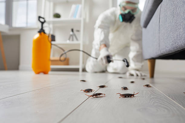 Commercial Kitchen Cockroach Control in Tinton Falls